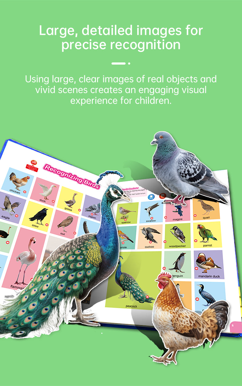 Smart Book English Words