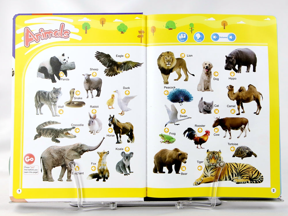 English Words Sound Book