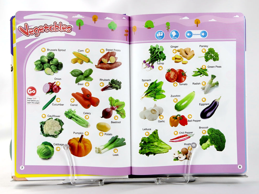 English Words Sound Book