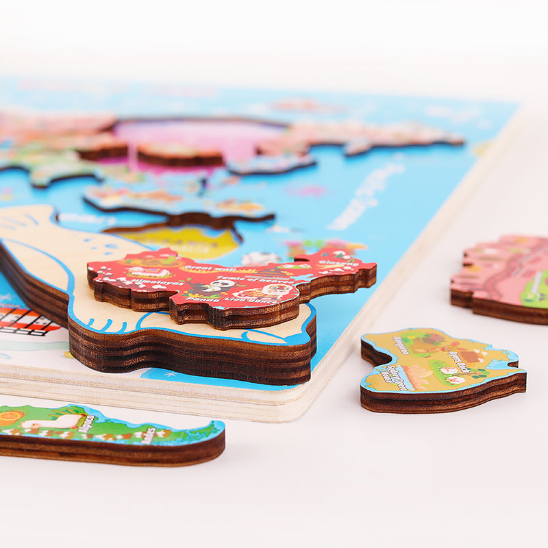 Magnetic World Map