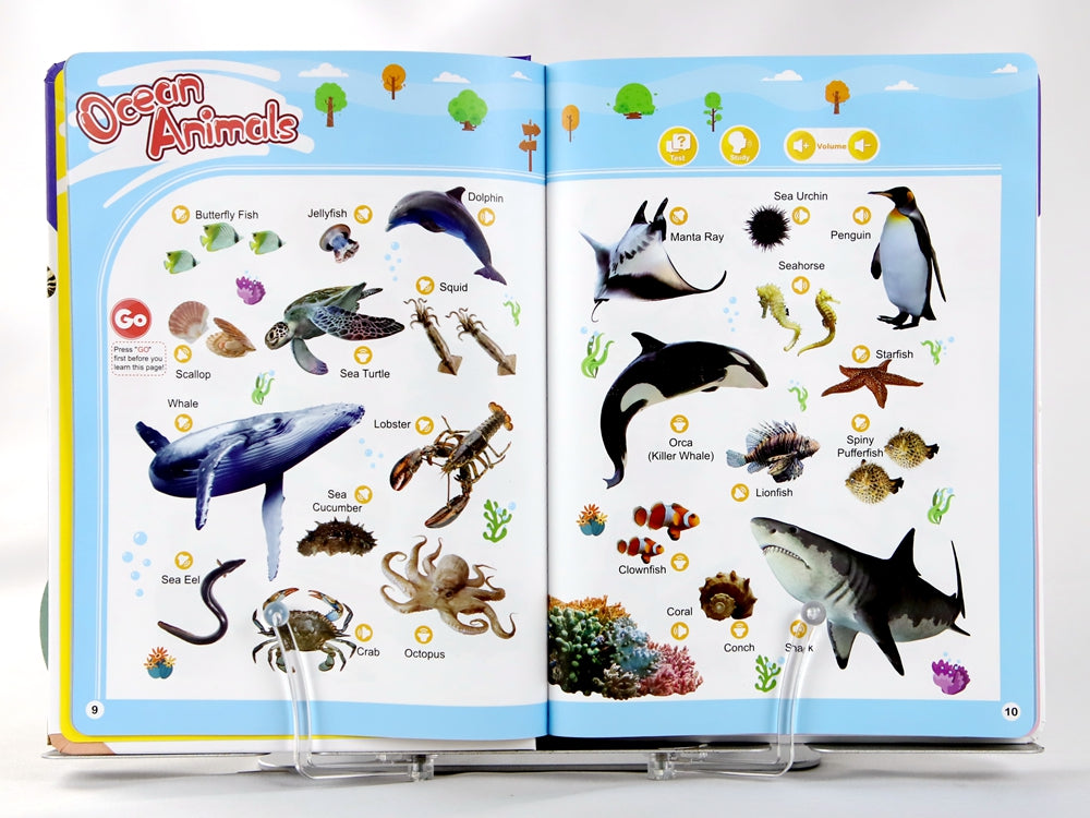English Words Sound Book