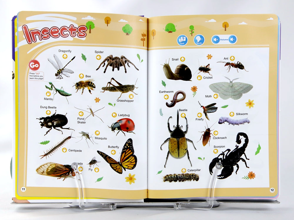 English Words Sound Book