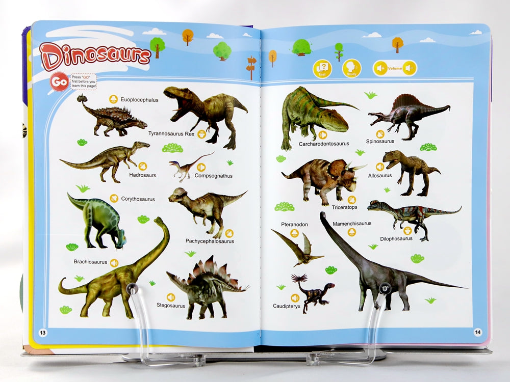 English Words Sound Book