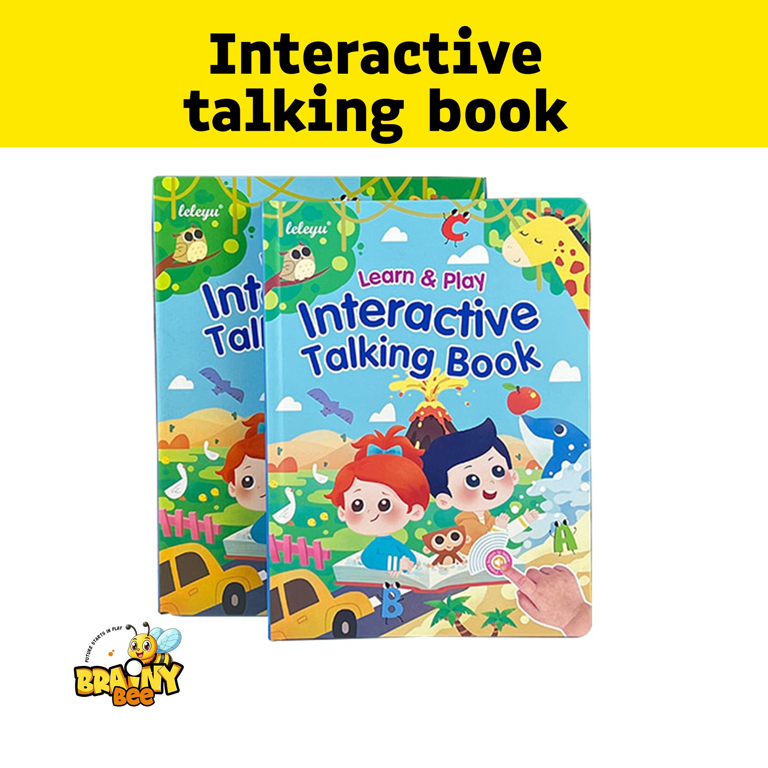 Interactive Talking Book
