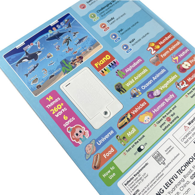 Interactive Talking Book