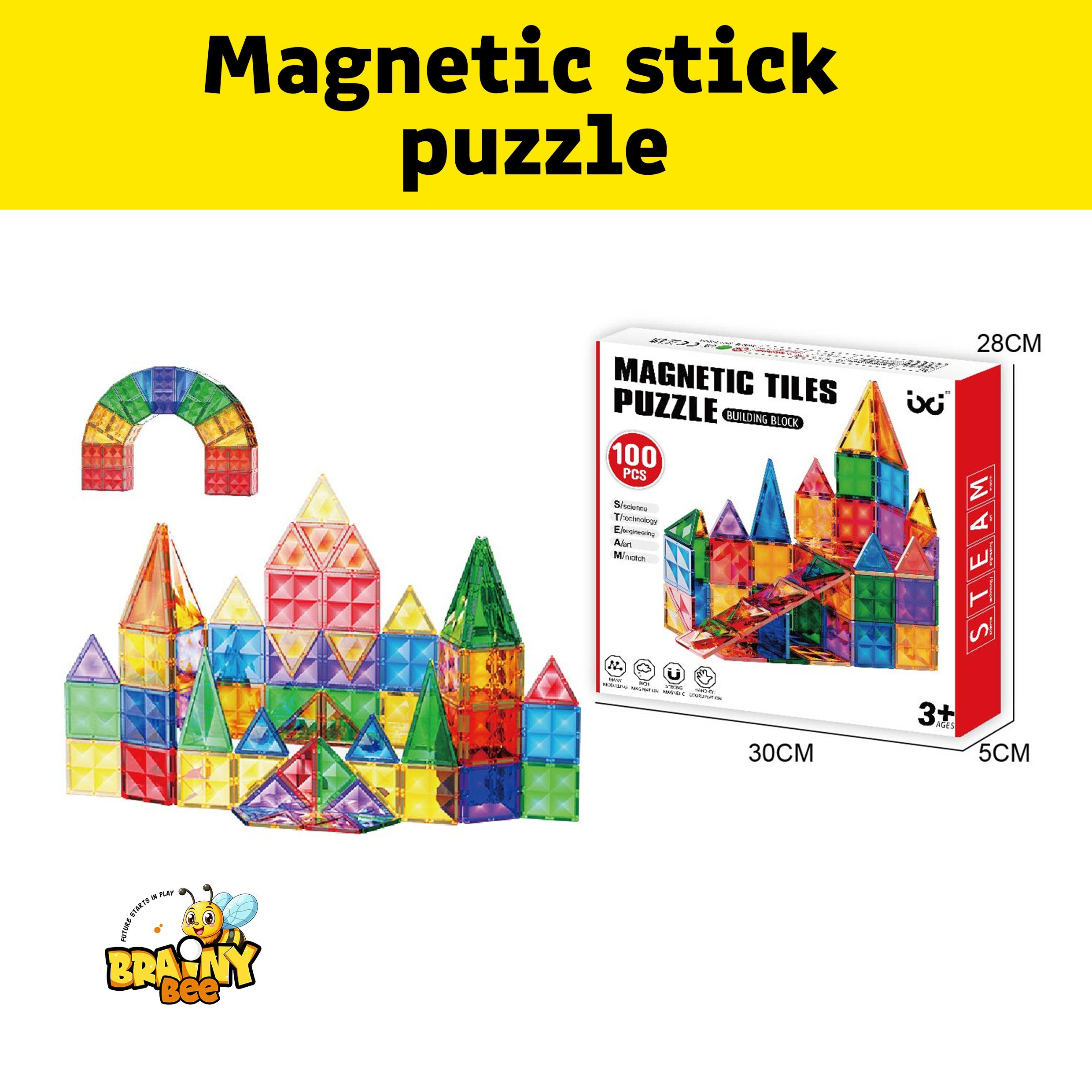 Magnetic Sticks Puzzle