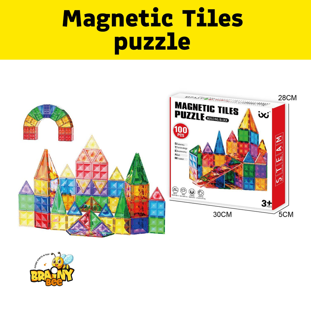 Magnetic Tiles Puzzle